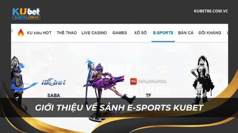 Giới thiệu về sảnh E-sports Kubet