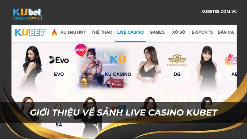 Giới thiệu về sảnh Live Casino Kubet